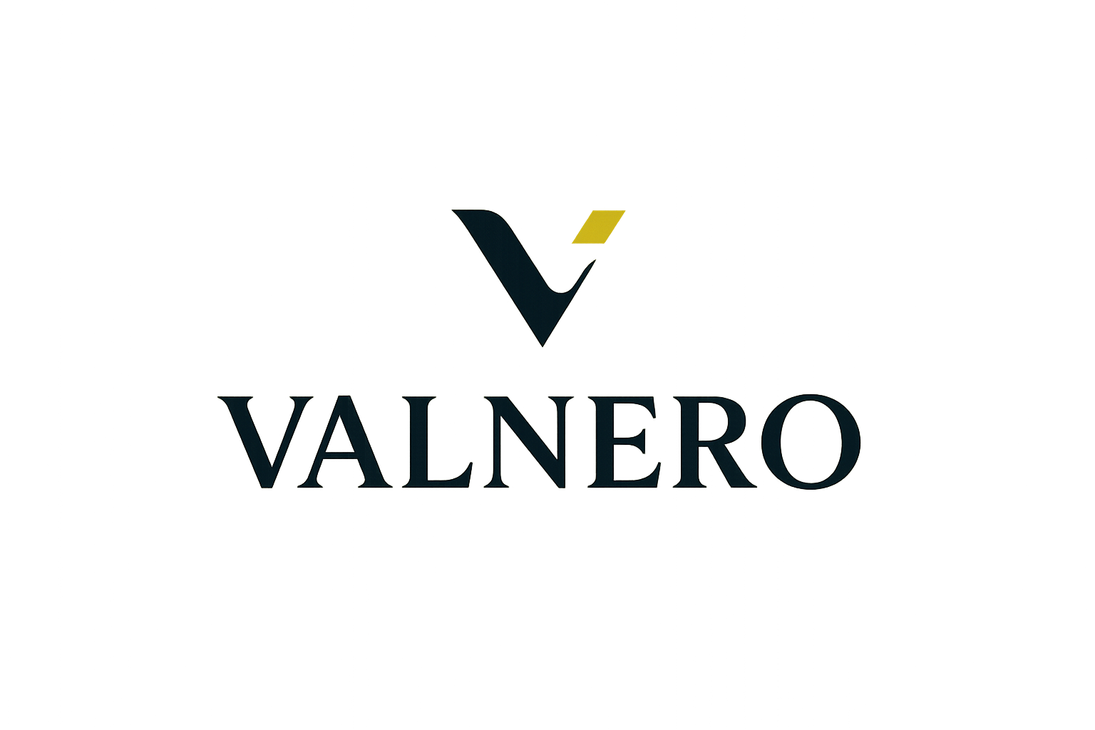 Valnero logo istiyorum